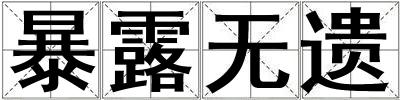 成語暴露無遺 暴露無遺