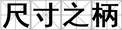 成語(yǔ)尺寸之柄 尺寸之柄