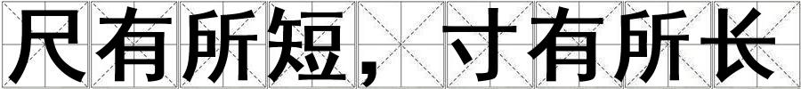 成語尺有所短,寸有所長 尺有所短,寸有所長